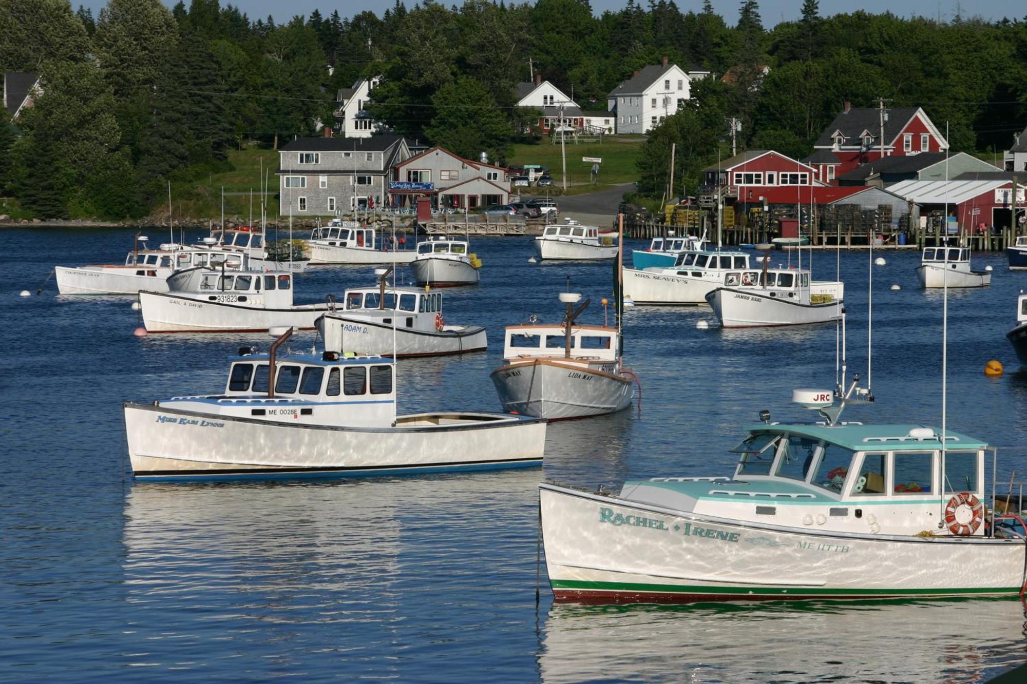 Lighthouse Cabins Maine Bass Harbor Экстерьер фото
